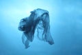 Plastic bag in blue water, garbage under water, plastic pollution of the oceans Royalty Free Stock Photo