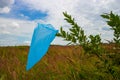 Plastic bag on a branch of a tree. Royalty Free Stock Photo