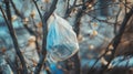 A Plastic Bag Caught in a Tree Branch Royalty Free Stock Photo