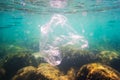 Plastic bag on corals in the tropical coral reef of indian ocean. Bad ecology of sea water. environmental pollution. garbage under Royalty Free Stock Photo