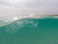 Plastic bag floating in the ocean, underwater waste. Ocean pollution concept. Global environmental problem. Copy space Royalty Free Stock Photo