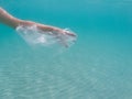 Plastic bag floating in the ocean, underwater waste. Ocean pollution concept. Global environmental problem. Copy space Royalty Free Stock Photo