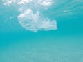 Plastic bag floating in the ocean, underwater waste. Ocean pollution concept. Global environmental problem. Copy space Royalty Free Stock Photo