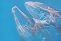 Plastic bag floating on water surface, top view Royalty Free Stock Photo