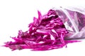 Plastic bag with frozen red cabbage slices isolated on white. V
