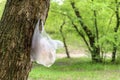 Plastic bag hanging on tree trunk in summer park Royalty Free Stock Photo