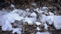 Plastic bag lying among litter landfill in forest, global ecological problem