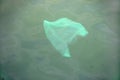 Plastic bag in ocean under surface of sea water Royalty Free Stock Photo