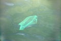 Plastic bag in ocean under surface of sea water Royalty Free Stock Photo