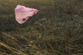 The plastic bag thrown into the meadow polluted the environment