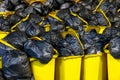 Plastic bag of waste many on the bin, garbage, trash, pollution, junk
