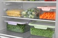 Plastic bags and containers with different frozen vegetables in refrigerator Royalty Free Stock Photo