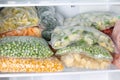 Plastic bags with deep frozen vegetables in refrigerator  horizontal Royalty Free Stock Photo