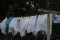 plastic bags dried in the garden at evening