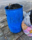 Plastic bags and garbage, Garbage bins full of trash in the public area. Royalty Free Stock Photo