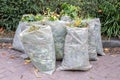 Plastic Bags With Garden At Amsterdam The Netherlands 11-11-2025 Royalty Free Stock Photo