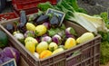 A plastic basket with squash and different vegetables.