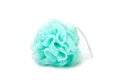 Plastic bath sponge Royalty Free Stock Photo