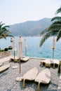 Plastic beach loungers on a pebble beach. Kotor Bay in Montenegro, the city of Dobrota. Under the branches of date palms