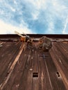 A plastic bee and honey comb on the side of a sunny barn