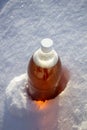 Plastic beer bottle in the snow in winter in nature, beer background Royalty Free Stock Photo