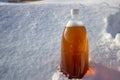 Plastic beer bottle in the snow in winter in nature, beer background Royalty Free Stock Photo