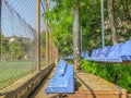 Plastic benches and flowering trees in the city park near the stadium