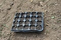 Plastic black cornets with soil for seedlings