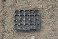 Plastic black cornets with soil for seedlings