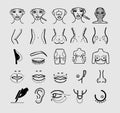 Plastic body cosmetic surgery vector line icons set Vector