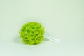 Plastic body scrub for green bath, Scrubber Loofah on light green background