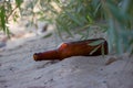 Plastic bottle on the beach Royalty Free Stock Photo