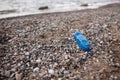 Plastic bottle is on the beach leave by tourist. Ecology, garbage, environmental pollution