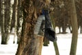 Plastic bottle bird feeder on a tree Royalty Free Stock Photo