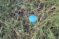 A plastic bottle cap on green grass background, environment concepts Royalty Free Stock Photo