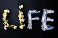 Plastic bottle and flowers making a word. Life choice. Polluted world. Environmental issue. Ecological disaster. Recycling problem Royalty Free Stock Photo