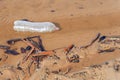 Plastic bottle and fragments of wood in the water on the shore