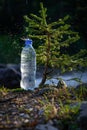 Plastic bottle with fresh icy drinking water on blur background of small tree and mountain river. Jet falls on the bottle, Royalty Free Stock Photo