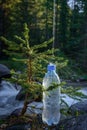 Plastic bottle with fresh icy drinking water on blur background of small tree and mountain river. Jet falls on the bottle, Royalty Free Stock Photo