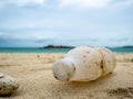 Plastic bottle or Garbage on the Beach Royalty Free Stock Photo