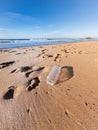 Plastic bottle left on the beach in Sri Lanka Royalty Free Stock Photo