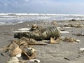 Plastic bottle lying on the beach near the sea. Royalty Free Stock Photo