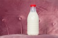 Plastic bottle with milk, one litre volume Royalty Free Stock Photo