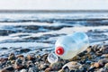 Plastic pet bottle on a stony beach Royalty Free Stock Photo
