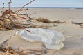 A plastic bottle on a sandy beach among the garbage dumped by the sea