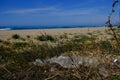 Plastic bottle sea pollution on sandy beach vegetation ecosystem  in south of italy Royalty Free Stock Photo