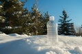 plastic bottle on snow near pine trees, clear winter sky Royalty Free Stock Photo