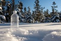 plastic bottle on snow near pine trees, clear winter sky Royalty Free Stock Photo