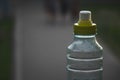 Plastic bottle top full with water with yellow cap in a park or garden with green trees in blurred background Recyclable beverage Royalty Free Stock Photo