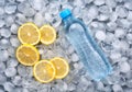 Plastic bottle of water with slice of lemon in ice